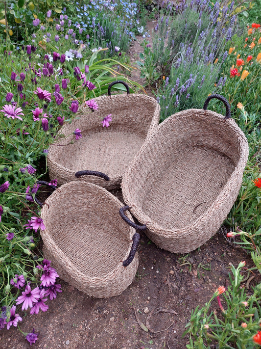 Descubre la belleza natural de la Hierba Marina