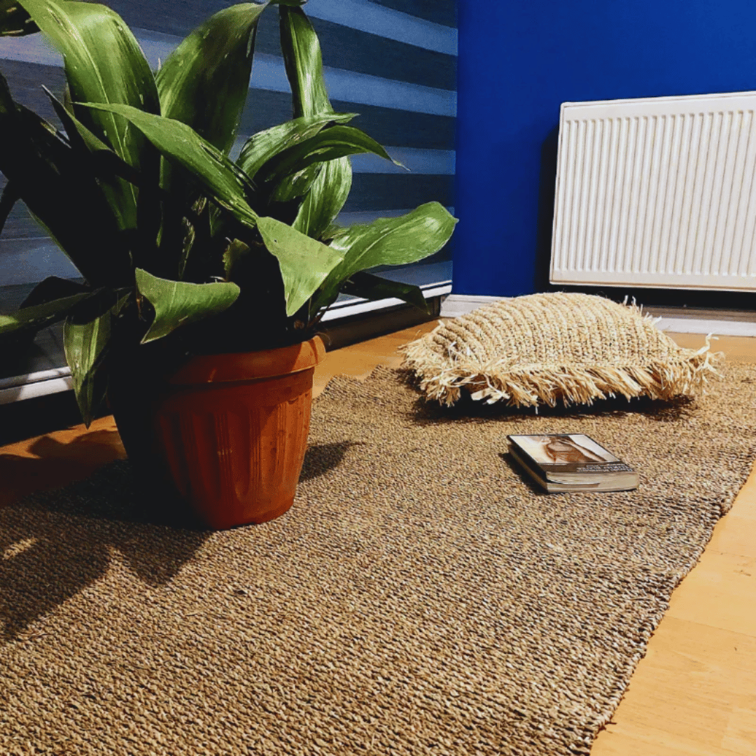 Alfombra de yute con una planta y un cojín para disfrutar de un libro en el living