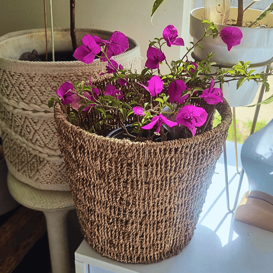 Canasto redondo Sapa tamaño mediano de hierba marina con una Buganvilia en su interior