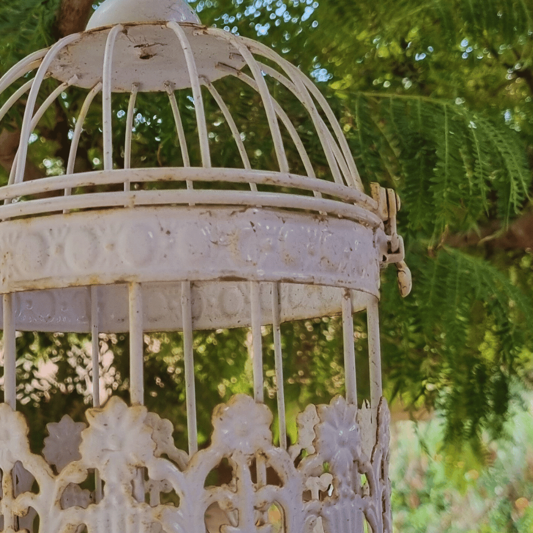 Detalles Jaula decorativa metálica color blanco envejecido
