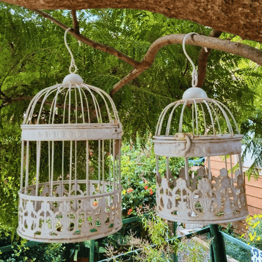Jaulas decorativas metálicasa color blanco envejecido, colgando de una rama