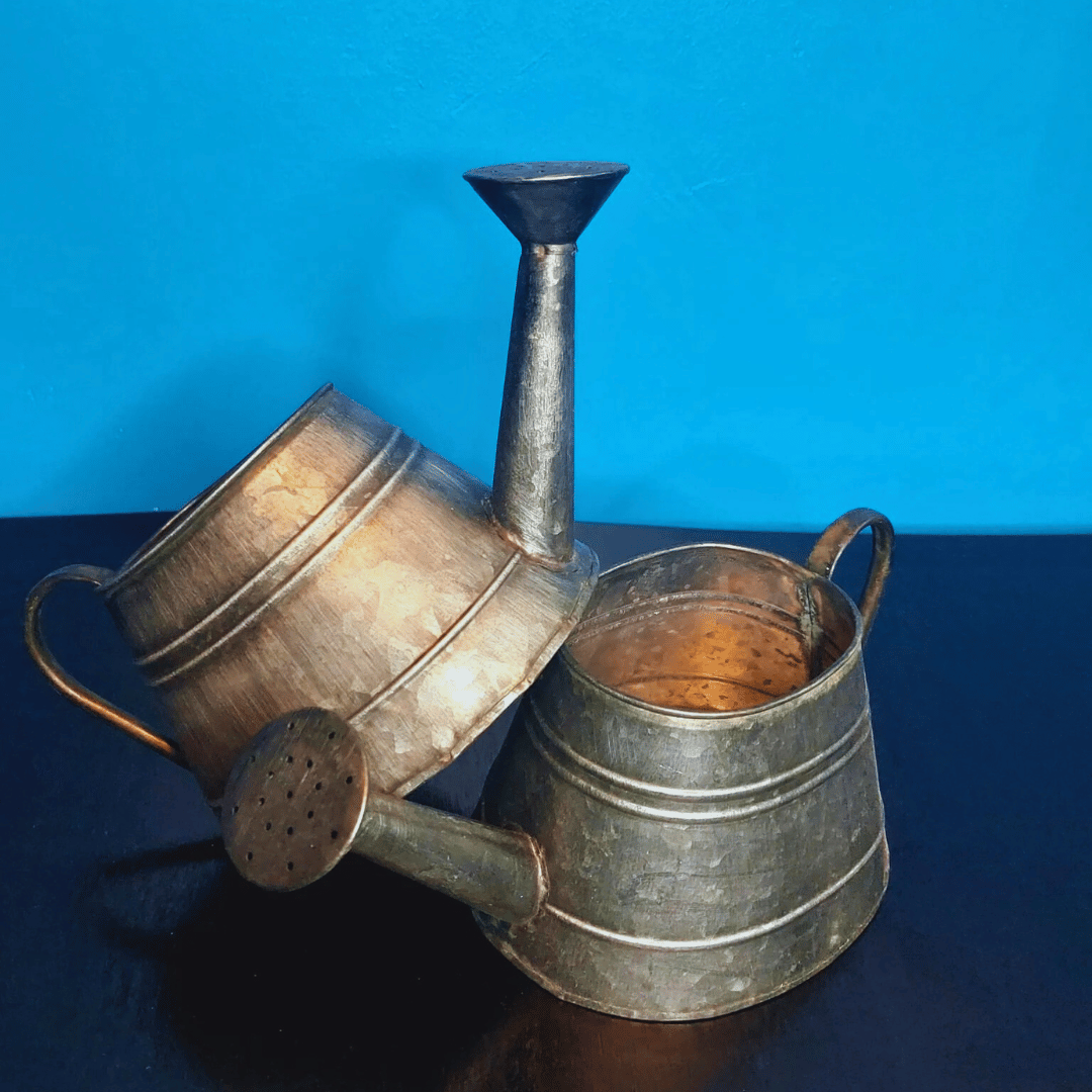 Dos regaderas metálicas vintage ovaladas