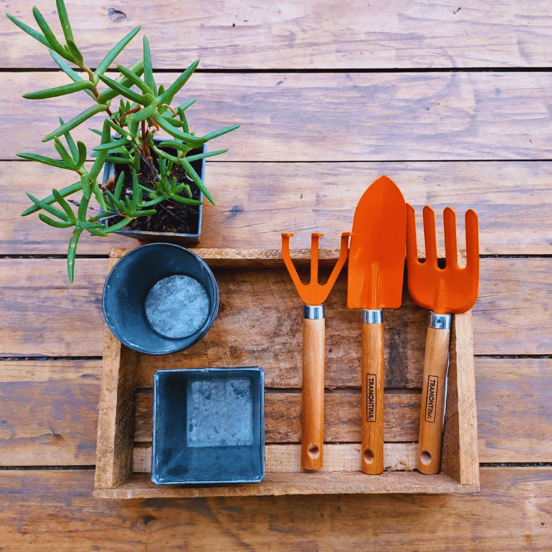 Set de herramientas de jardinería con maceteros metálicos y planta en un cajón pequeño