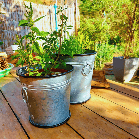 Set de dos maceteros metálicos redondos color gris, tamaño mediano y grande, con plantas